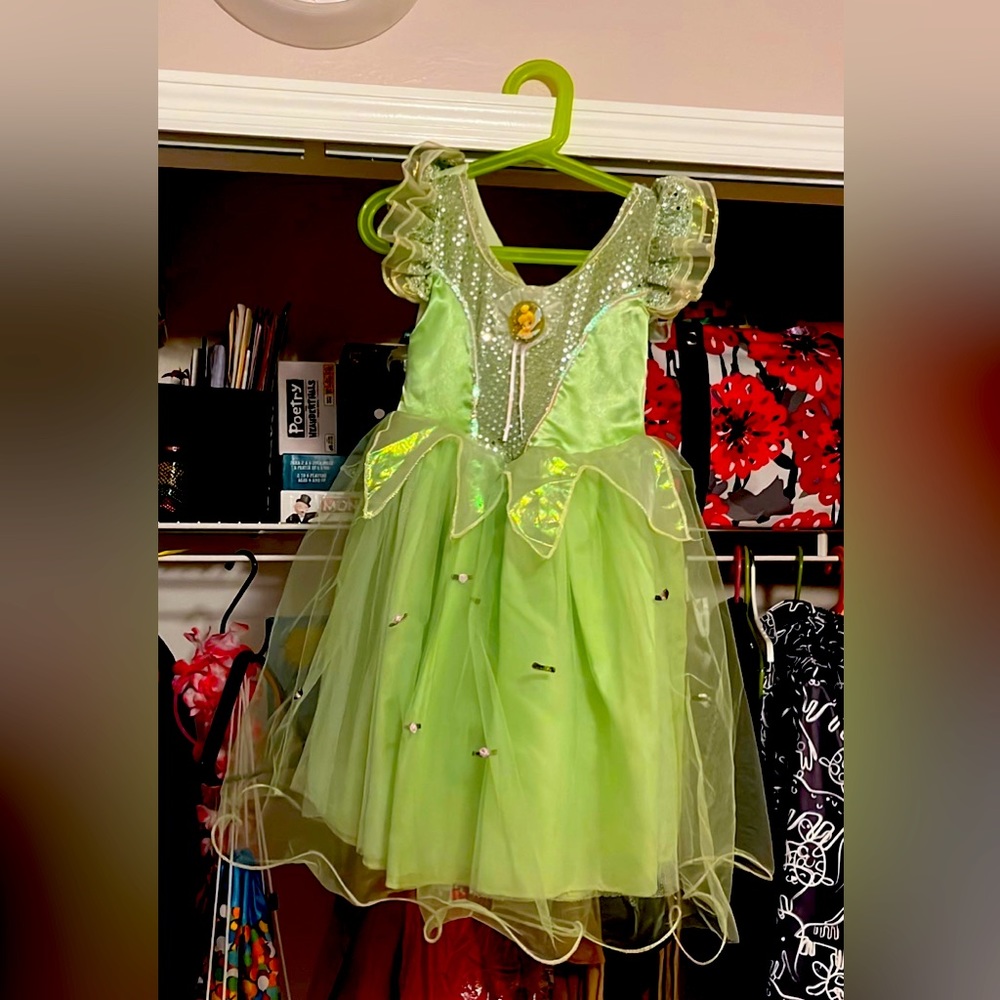COPY - Tinker bell costume